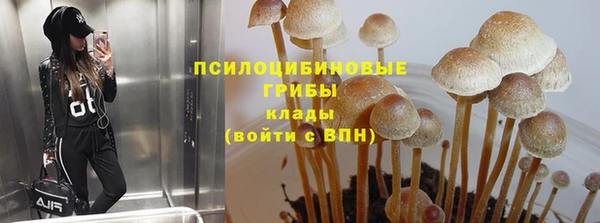 гашик Пересвет