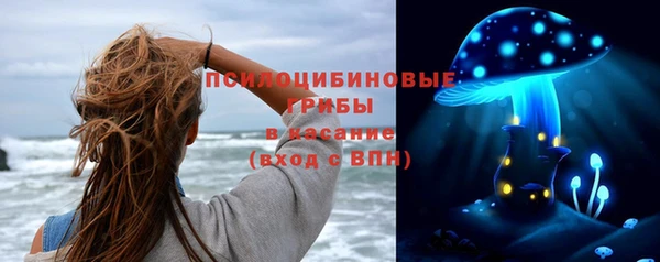 винт Пестово