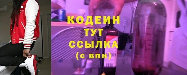 гашик Пересвет