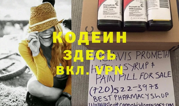индика Переславль-Залесский