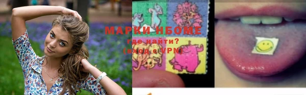 гашик Пересвет