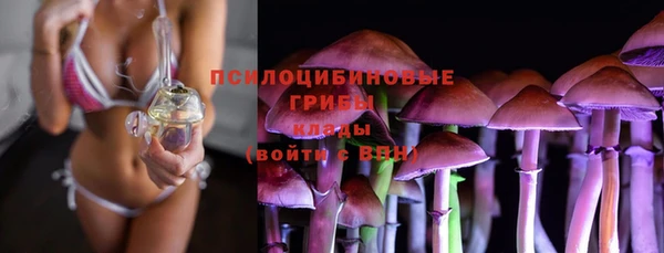винт Пестово
