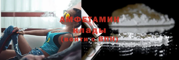 индика Переславль-Залесский