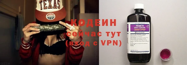 индика Переславль-Залесский
