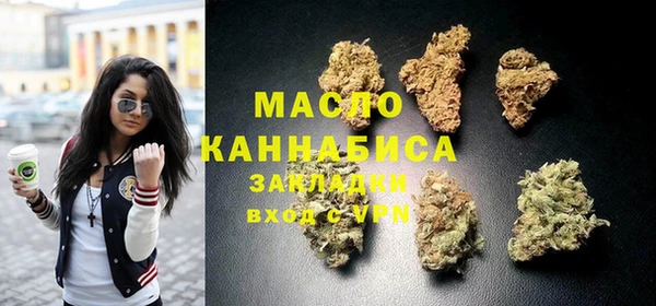 гашик Пересвет