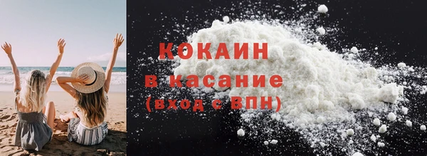 гашик Пересвет