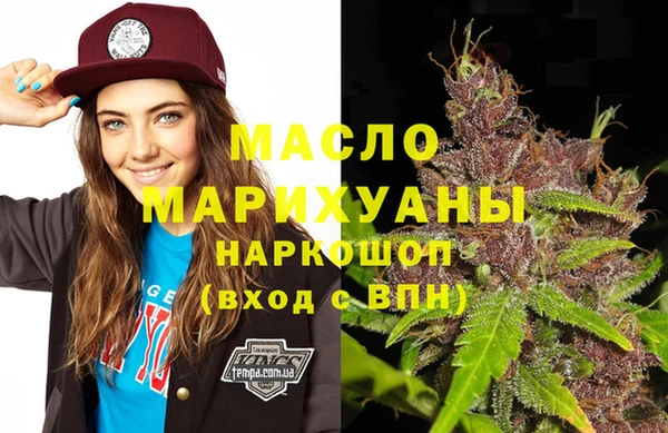 индика Переславль-Залесский