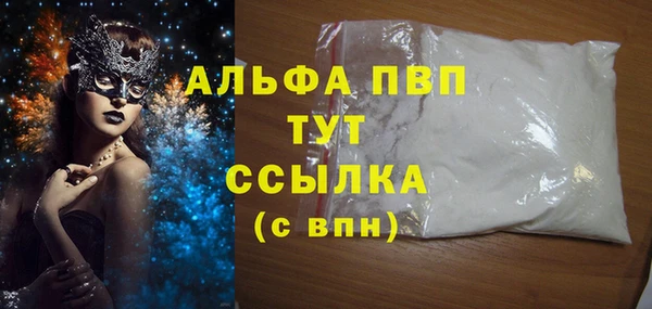 индика Переславль-Залесский